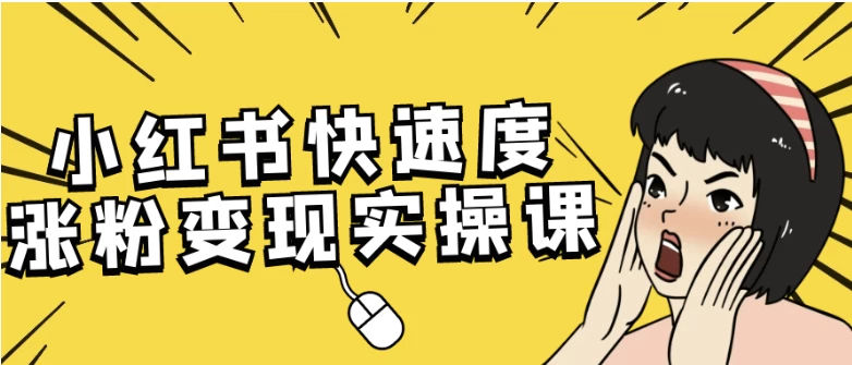 [小红书/涨粉] 小红书快速度涨粉变现实操课（4.5G）