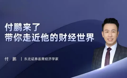 [财经] 油管《付鹏财经世界》专栏合集（12.3G）