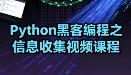 [Python/编程] Python黑客编程之信息收集视频课程（3.9G）