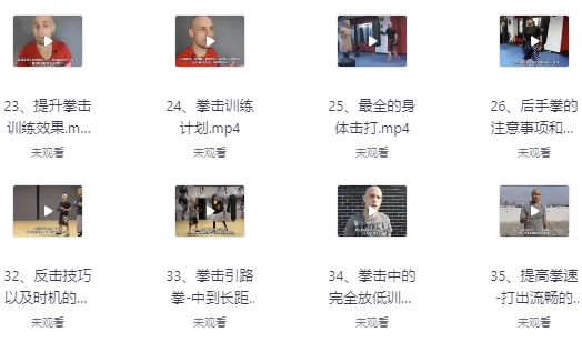 [拳击/运动] 杰森拳击高清系统教学中英字幕（34.5G）