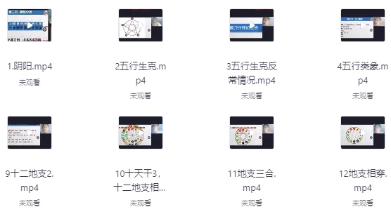 [八字/预测] 盲派山阳老师全套课程20集+课件（7.3G）