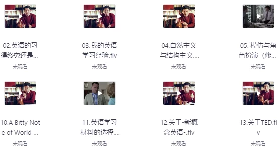 [英语] 许岑的英语学习方法论（4.2G）