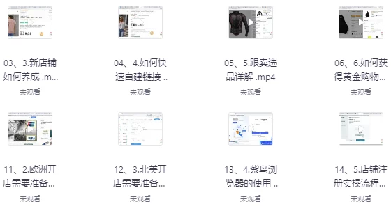[亚马逊/电商] 亚马逊跟卖实战课，零基础跨境开店实操教学（2.4G）