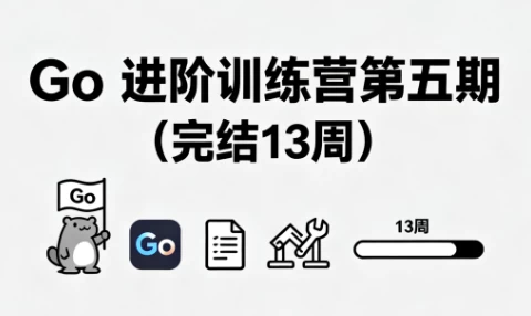 [Go/Go语言] Go 进阶训练营第五期（完结13周）（23.0G）