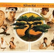 [动作/运动] 功夫梦：融合之道 Karate Kid: Legends  [成龙/王班][高清下载]