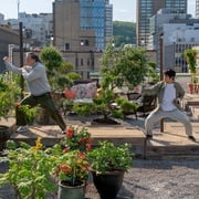 [动作/运动] 功夫梦：融合之道 Karate Kid: Legends  [成龙/王班][高清下载]