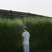 [剧情/惊悚] 狗牙 Κυνόδοντας  [赫里斯托斯·斯泰尔伊约格卢/米歇尔·瓦利][高清下载]