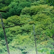 [剧情] 怪物  [安藤樱/永山瑛太][高清下载]