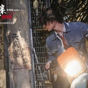 [动作/犯罪] 九龙城寨之围城 九龍城寨·圍城  [古天乐/洪金宝][高清下载]