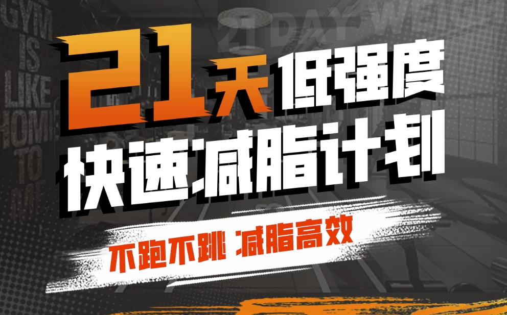 [减肥/减脂] 猫叔21天低强度，无跑跳高效减脂（2.0G）