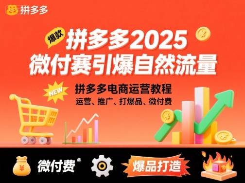 拼多多2025微付费引爆自然流量,拼多多电商运营教程,运营、推广、打爆品、微付费(更新) 拼多多2025微付费引爆自然流量,拼多多电商运营教程,运营、推广、打爆品、微付费(更新)