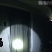 [纪录片] 完美邻居 The Perfect Neighbor  [][高清下载]