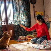 [惊悚/科幻] 我的僵尸女儿 좀비가 되어버린 나의 딸  [曹政奭/李姃垠][高清下载]