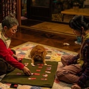 [惊悚/科幻] 我的僵尸女儿 좀비가 되어버린 나의 딸  [曹政奭/李姃垠][高清下载]