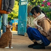 [惊悚/科幻] 我的僵尸女儿 좀비가 되어버린 나의 딸  [曹政奭/李姃垠][高清下载]