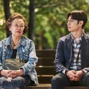 [喜剧/剧情] 我能说 아이 캔 스피크  [罗文姬/李帝勋][高清下载]