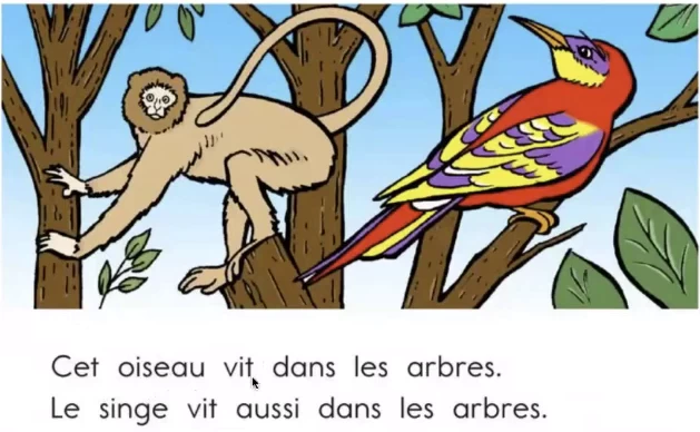 French for youth 少儿法语课