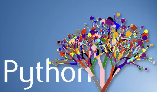 [Python/编程] Python语言基础与应用 - 北京大学（12.6G）