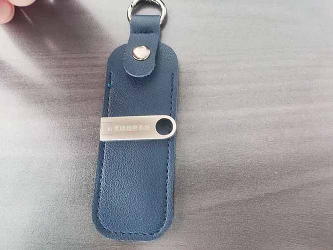 海外美金AI掘金项目