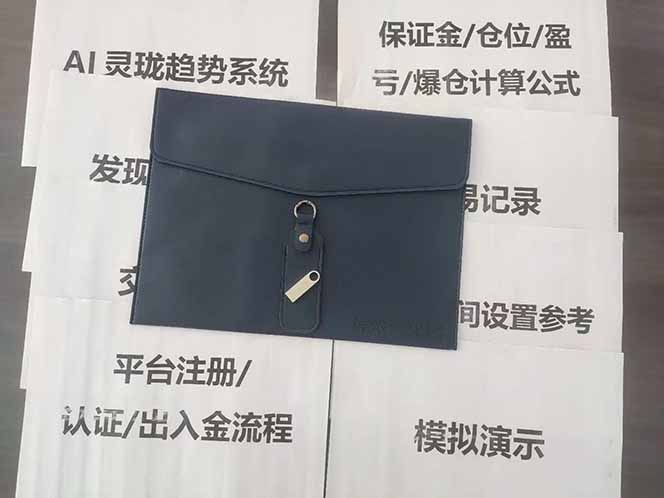 海外美金AI掘金项目