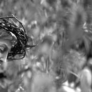 母亲的双眼 The Eyes of My Mother 剧照