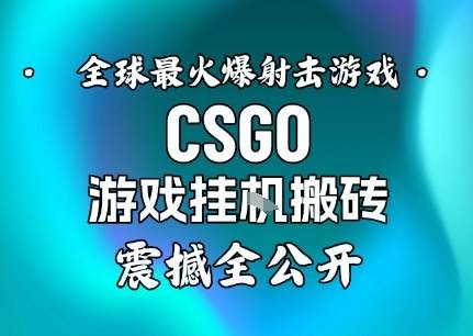 【年底大揭秘】基于全球最火爆的射击CSGO游戏挂G搬砖,日入5张+,震撼公开 【年底大揭秘】基于全球最火爆的射击CSGO游戏挂G搬砖,日入5张+,震撼公开