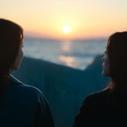 你旁观的罪 당신이 죽였다