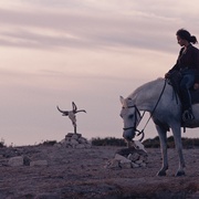 兽性 Animale 剧照