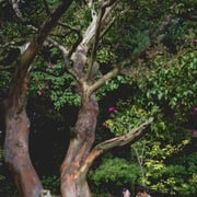 无可奈何 어쩔수가없다 剧照