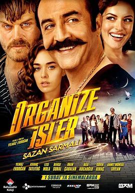 有组织的工作 Organize Isler: Sazan Sarmali 海报
