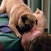 政坛混战 The Campaign 剧照