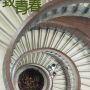 致我们终将逝去的青春 剧照