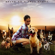 [剧情] 爱狗人士 The Wrong Side of Right  [詹姆斯·瑞马尔/莉·汤普森][蓝光/高清1080p/4K下载]