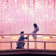 [真人秀/爱情] 爱情盲选：日本篇 ラブ・イズ・ブラインド: Japan  [板谷由夏/藤井隆][蓝光/高清1080p/4K下载]