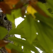 [纪录片] 百日孤独 100 días de soledad  [José Díaz Martínez][蓝光/高清1080p/4K下载]