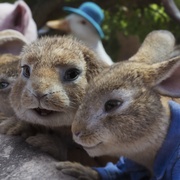 [喜剧/冒险] 比得兔2：逃跑计划 Peter Rabbit 2: The Runaway  [詹姆斯·柯登/罗丝·伯恩][蓝光/高清1080p/4K下载]