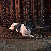 [战争/爱情] 大海贼 The Buccaneer  [尤·伯连纳/克莱尔·布鲁姆][蓝光/高清1080p/4K下载]