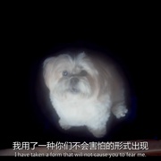 [恐怖/科幻] 敌对维度 Hostile Dimensions  [Stephen Beavis/Cedric Gall][蓝光/高清1080p/4K下载]