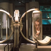 [动作/科幻] 第六日 The 6th Day  [阿诺·施瓦辛格/迈克尔·拉帕波特][蓝光/高清1080p/4K下载]