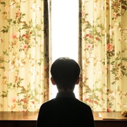 [恐怖] 地面之洞 The Hole in the Ground  [莎娜·凯斯雷克/詹姆士·奎因·马奇][蓝光/高清1080p/4K下载]