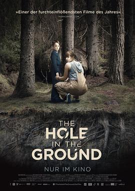 [恐怖] 地面之洞 The Hole in the Ground  [莎娜·凯斯雷克/詹姆士·奎因·马奇][蓝光/高清1080p/4K下载]