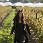 [科幻/悬疑] 地球百子 第六季 The 100 Season 6  [伊莉萨·泰勒-科特尔/佩姬-图柯][蓝光/高清1080p/4K下载]