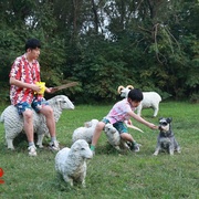 [喜剧] 东北告别天团2  [崔志佳/于洋][蓝光/高清1080p/4K下载]