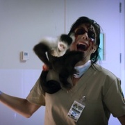 [动作/恐怖] 动物僵尸 Zoombies  [Ione Butler/安德鲁·阿斯珀][蓝光/高清1080p/4K下载]