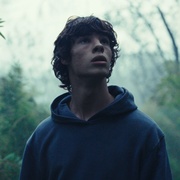 动物王国 Le règne animal 剧照