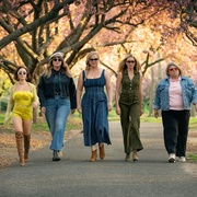 [爱情/喜剧] 肚假情真 Kinda Pregnant  [艾米·舒默/威尔·福特][蓝光/高清1080p/4K下载]