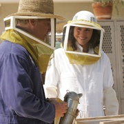 犯罪现场调查 第八季 CSI: Crime Scene Investigation Season 8 剧照