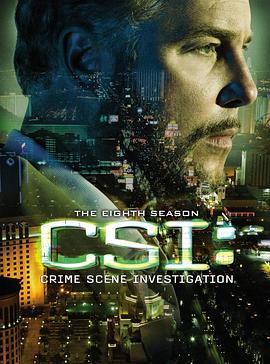 犯罪现场调查 第八季 CSI: Crime Scene Investigation Season 8 海报
