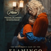 [同性] 弗拉明戈的神秘眼神 La misteriosa mirada del flamenco  [Tamara Cortes/马迪亚斯·卡塔兰][蓝光/高清1080p/4K下载]