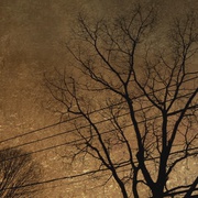 [纪录片] 狗心 Heart of a Dog  [阿奇/杰森·伯格][蓝光/高清1080p/4K下载]